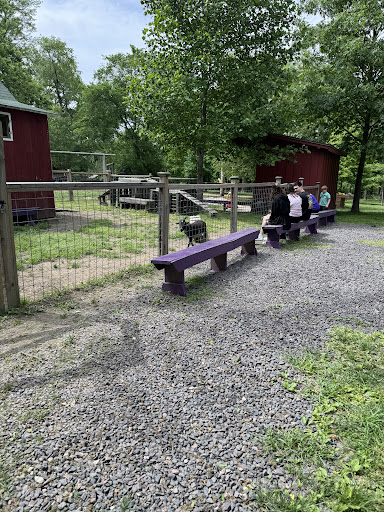 Willoughby Heritage Farm 20250727 004014 003