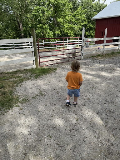 Willoughby Heritage Farm 20250727 004015 004