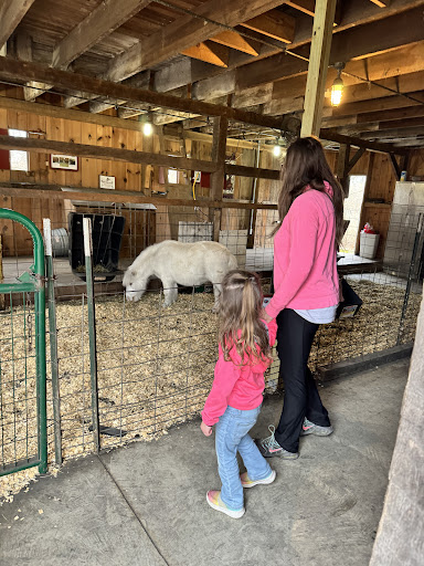 Willoughby Heritage Farm 20250727 004017 006