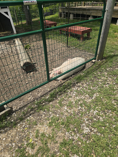 Willoughby Heritage Farm 20250727 004018 008