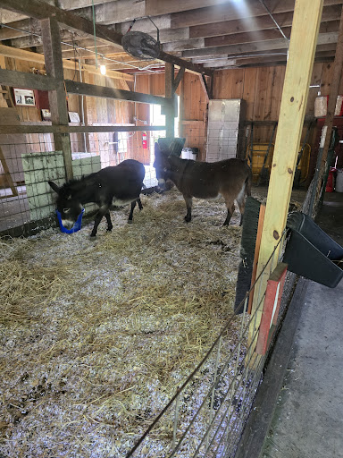 Willoughby Heritage Farm 20250727 004019 009