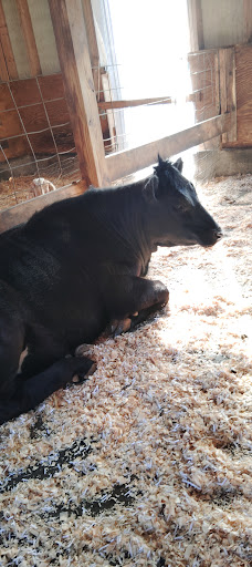 Willoughby Heritage Farm 20250727 004026 017