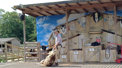 Willows Activity Farm 20250808 184258 001