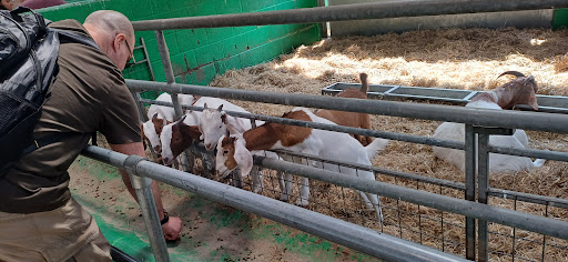 Willows Activity Farm 20250808 184300 003