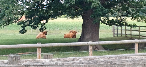Willows Activity Farm 20250808 184301 004