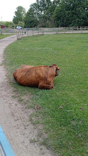Willows Activity Farm 20250808 184302 005
