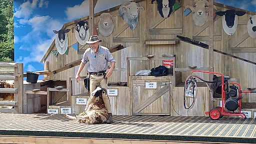 Willows Activity Farm 20250808 184302 006