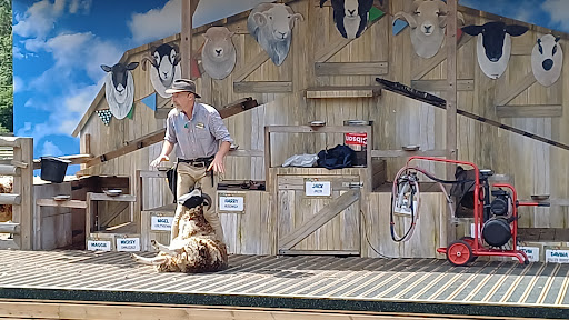 Willows Activity Farm 20250808 184303 007