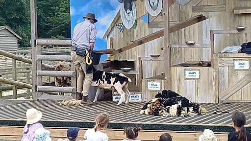 Willows Activity Farm 20250808 184304 008
