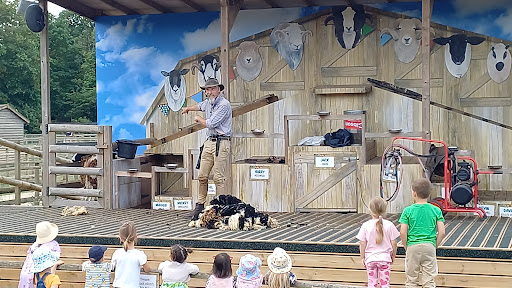 Willows Activity Farm 20250808 184305 009