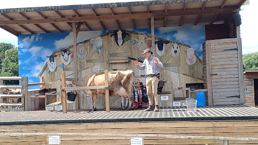 Willows Activity Farm 20250808 184306 010