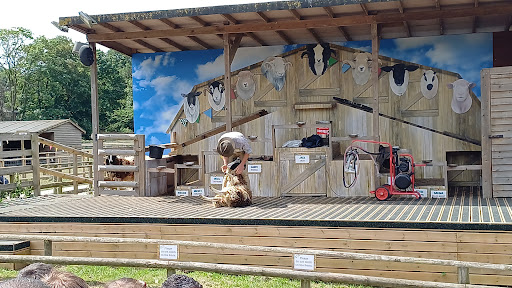 Willows Activity Farm 20250808 184307 011