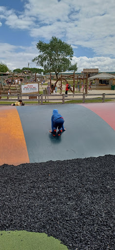Willows Activity Farm 20250808 184308 013
