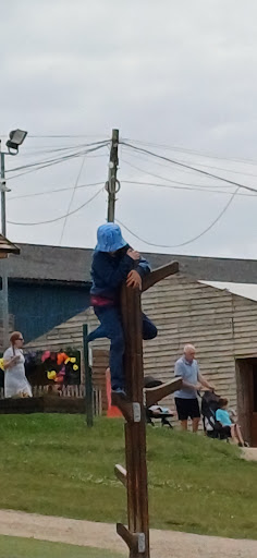 Willows Activity Farm 20250808 184309 014
