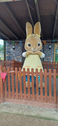 Willows Activity Farm 20250808 184311 017