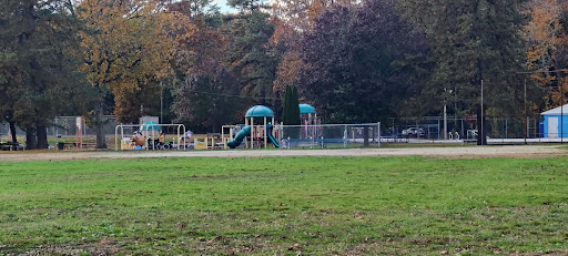 Wilson Boundless Playground 20250727 054638 012
