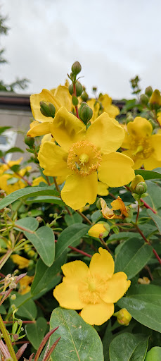 Winterbourne Kingston Recreational Ground 20250808 202209 010