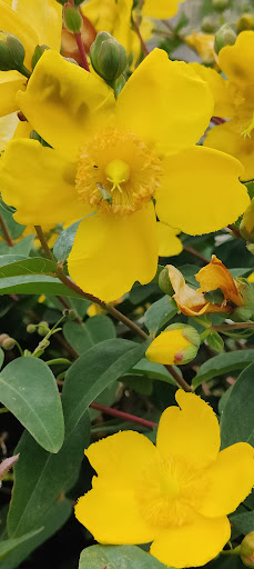 Winterbourne Kingston Recreational Ground 20250808 202210 011