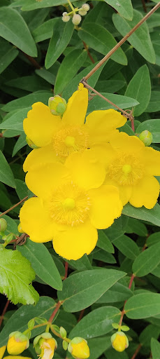 Winterbourne Kingston Recreational Ground 20250808 202211 012