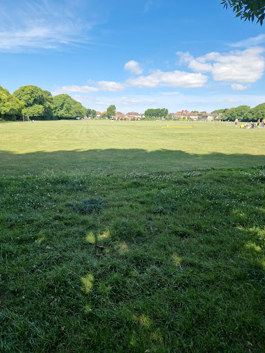 Wish Park 20250808 200136 001