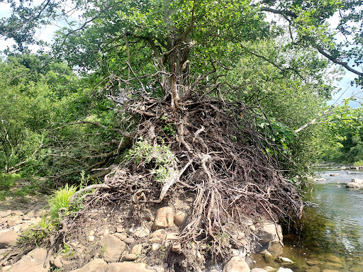 Wolsingham Recreation Ground 20250808 153948 009