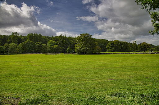 Wolsingham Recreation Ground 20250808 153955 015