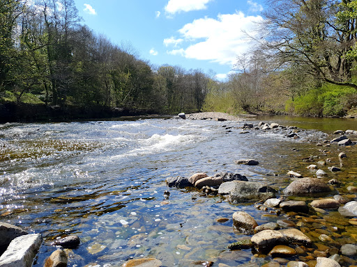 Wolsingham Recreation Ground 20250808 153959 019