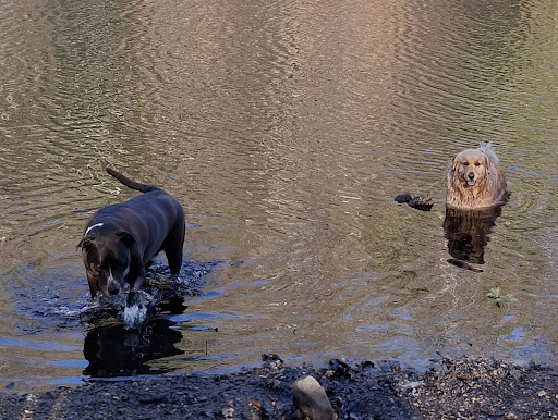 Woodlock Recreation Area 20250727 072012 001