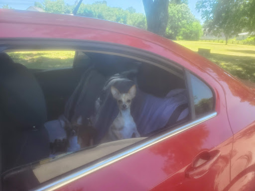 Woodrow Grow Park 20250727 001840 001