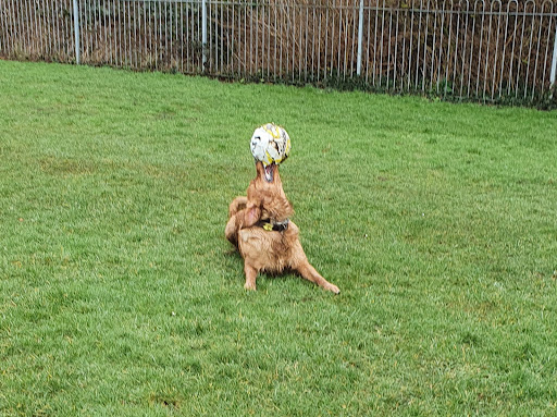 Woodside Play Area 20250808 171440 001