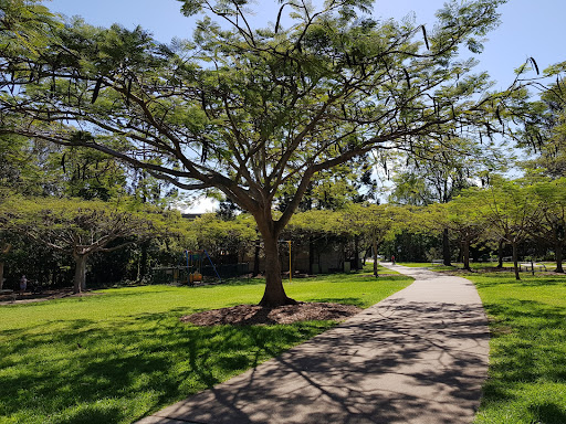Woolcock Park Playground 20250824 023404 001