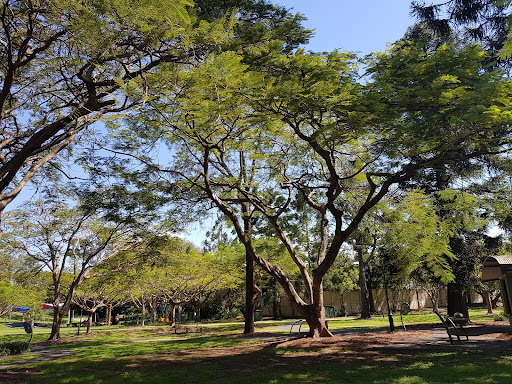 Woolcock Park Playground 20250824 023407 004