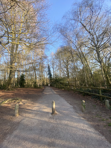 Wycombe Rye Playground 20250808 185023 006