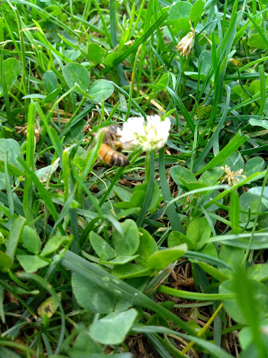 Wynantskill Playground 20250727 061455 003