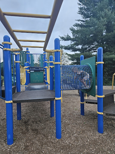 Wyomissing Hills Playground 20250727 035142 007