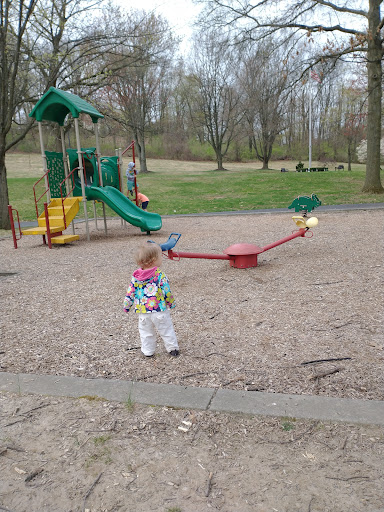 Wyomissing Hills Playground 20250727 035146 013