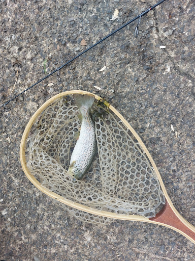 Yough Dam Outflow Playground 20250727 023444 003