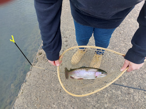 Yough Dam Outflow Playground 20250727 023445 004