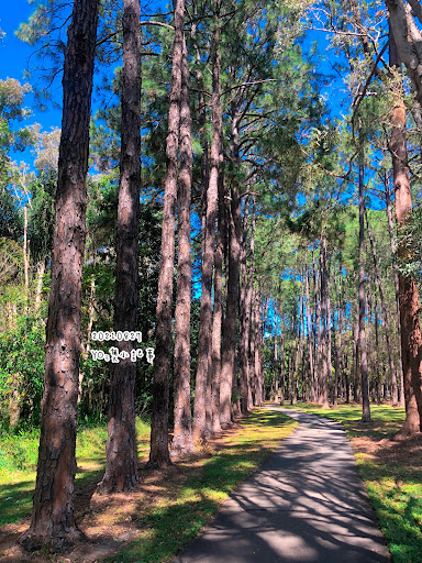 Yugarapul Park Playground 20250824 022817 013
