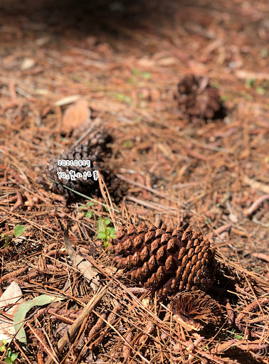 Yugarapul Park Playground 20250824 022818 014