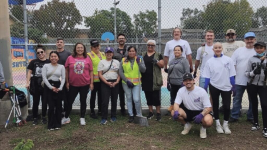 Cover pickly 1024x576